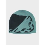 Dynafit Leopard Logo beanie marine blue – Hledejceny.cz