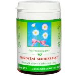 TCM Herbs Zklidnění zčeřené hladiny 062 100 kuliček – Hledejceny.cz