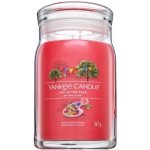 Yankee Candle Signature Art In The Park 567 g – Zboží Dáma