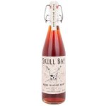 Skull Bay Rum 37,5% 0,5 l (holá láhev) – Zboží Mobilmania