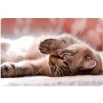 SPIRIT Podložka na stůl 60x40 cm Little Cat – Zboží Dáma