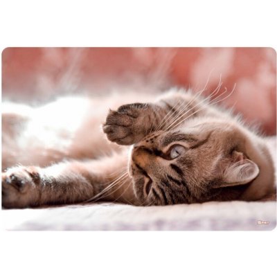 SPIRIT Podložka na stůl 60x40 cm Little Cat – Zboží Dáma