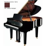 Yamaha C3X TA3 SAW – Zboží Dáma