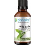 Bioherba Medvědí česnek kapky tinktura 50 ml – Hledejceny.cz