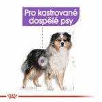 Royal Canin Medium Sterilised 3 kg – Sleviste.cz