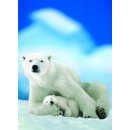 EuroGraphics Lední medvěd s mládětem 1000 dílků