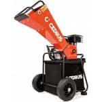 Cedrus CEDRB01C – Sleviste.cz