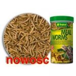 Tropical Meal Worms 250 ml – Zboží Dáma