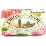 Nesti Dante Dolce Vivere mýdlo Pisa 250 g – Zbozi.Blesk.cz