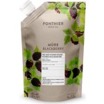 Ponthier Pyré ovocné ostružina 1 kg – Zboží Dáma