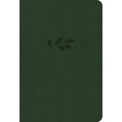 NASB Large Print Compact Reference Bible, Olive Leathertouch Holman Bible PublishersImitation Leather – Hledejceny.cz