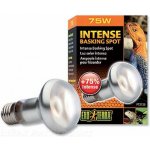 Hagen Exo Terra Intense Basking Spot 75 W – Sleviste.cz