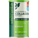 Great Lakes Collagen Hydrolysate, Hydrolyzovaný kolagen bez příchuti 454 g – Hledejceny.cz