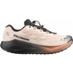 Salomon Aero Blaze 4 Grvl Gtx M L45403200 vanilla ice/black/burro – Hledejceny.cz