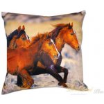 Dadka Polštář tři koně Fotopolštář Tři koně 40x40 – Hledejceny.cz