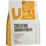 OstroVit Creatine Monohydrate, 300 g – Hledejceny.cz