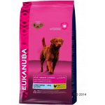 Eukanuba Adult Large Breed Weight Control 15 kg – Hledejceny.cz