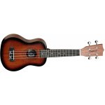 Tanglewood TWT 1 – Zbozi.Blesk.cz