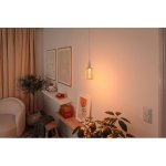 Paulmann 29073 LED žárovka, 5,9W E14 2700K čirá, stmívatelná výška 7,8cm – Hledejceny.cz
