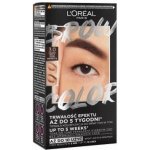 L'Oréal Paris Brow Color Semi-Permanent Eyebrow barva na obočí Tint 3.0 Dark Brunette 1 ml – Zboží Mobilmania