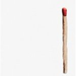 Rammstein - Rammstein 2019 LP – Sleviste.cz