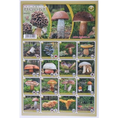Mičánek Pexeso: Houby – Zboží Dáma