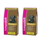 Eukanuba Labrador Retriever 2 x 12 kg – Hledejceny.cz