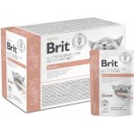 Brit Veterinary Diet Cat Renal Fillets in Gravy 12 x 85 g – Hledejceny.cz