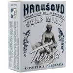 Formerco Hanušovo kosmetické mýdlo Norkové 100 g – Hledejceny.cz