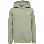 Puma Essentials 2 Col Small Logo Hoodie FL B khaki – Hledejceny.cz