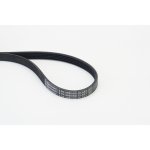 ozubený klínový řemen CONTINENTAL CTAM 5PK868 ELAST – Zboží Mobilmania