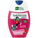 Vademecum 2v1 Junior kombinace zubní pasty a ÚV Jahoda 75 ml – Hledejceny.cz