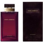 Dolce & Gabbana Pour Intense parfémovaná voda dámská 100 ml – Sleviste.cz