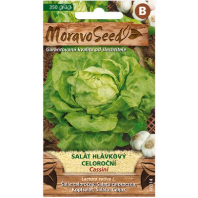 MoravoSeed Salát hlávkový celoroční CASSINI 66314