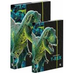 Karton P+P A4+A5 Premium Dinosaurus 0-056X25 – Zboží Dáma
