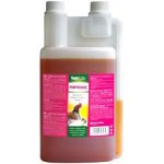 NUTRIMIX FortiCoat 1 l – Hledejceny.cz