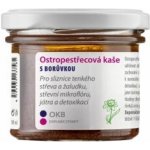 Dědek kořenář Ostropestřecová kaše s borůvkou 350 ml – Hledejceny.cz