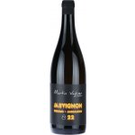 Martin Vajčner Sauvignon Jaroslavice 2022 12% 0,75 l (holá láhev) – Hledejceny.cz