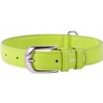 WauDog Obojek Glamour – Zboží Mobilmania