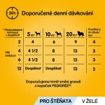 Pedigree Junior v želé 12 x 100 g – Hledejceny.cz