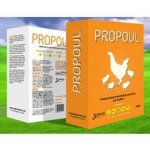Propoul plv 500 g – Sleviste.cz