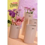 Váza Dita béžová 12 cm – Hledejceny.cz