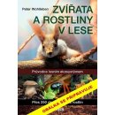 Kniha Zvířata a rostliny v lese