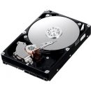 IBM Express 500GB, 7200rpm, 49Y6181