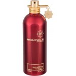 Montale Red Vetyver parfémovaná voda pánská 100 ml – Hledejceny.cz