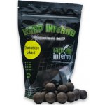 Carp Inferno boilies Nutra Line Višeň Chilli 250 g 20 mm – Sleviste.cz