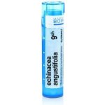 ECHINACEA ANGUSTIFOLIA POR 9CH GRA 1X4G – Hledejceny.cz