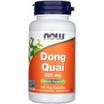 Now Foods Andělika Čínská Dong Quai 520 mg 100 kapslí – Hledejceny.cz