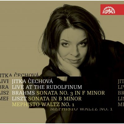 Čechová Jitka - Live At The Rudolfinum CD – Zboží Mobilmania