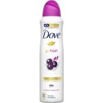Dove Go Fresh Acai & Waterlili antiperspirant deospray 150 ml – Zbozi.Blesk.cz